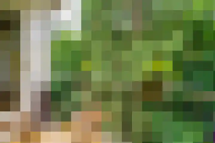 Prinses Marijkelaan 30 2 Zeist thumbnail 17