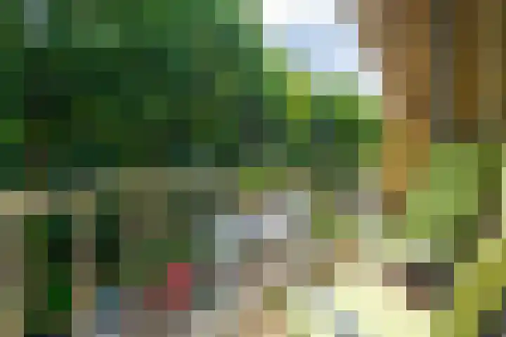 Prinses Marijkelaan 30 2 Zeist thumbnail 18