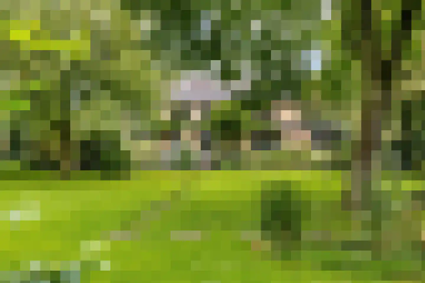 Prinses Marijkelaan 33 Maurik thumbnail 12