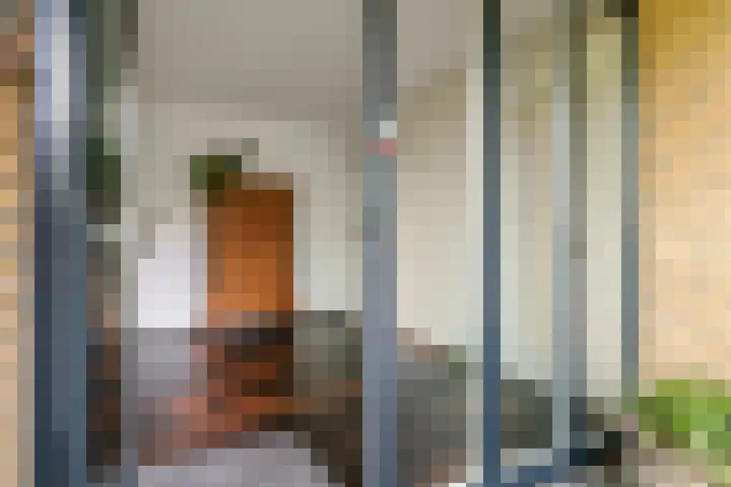 Prinses Marijkelaan 33 Maurik thumbnail 28