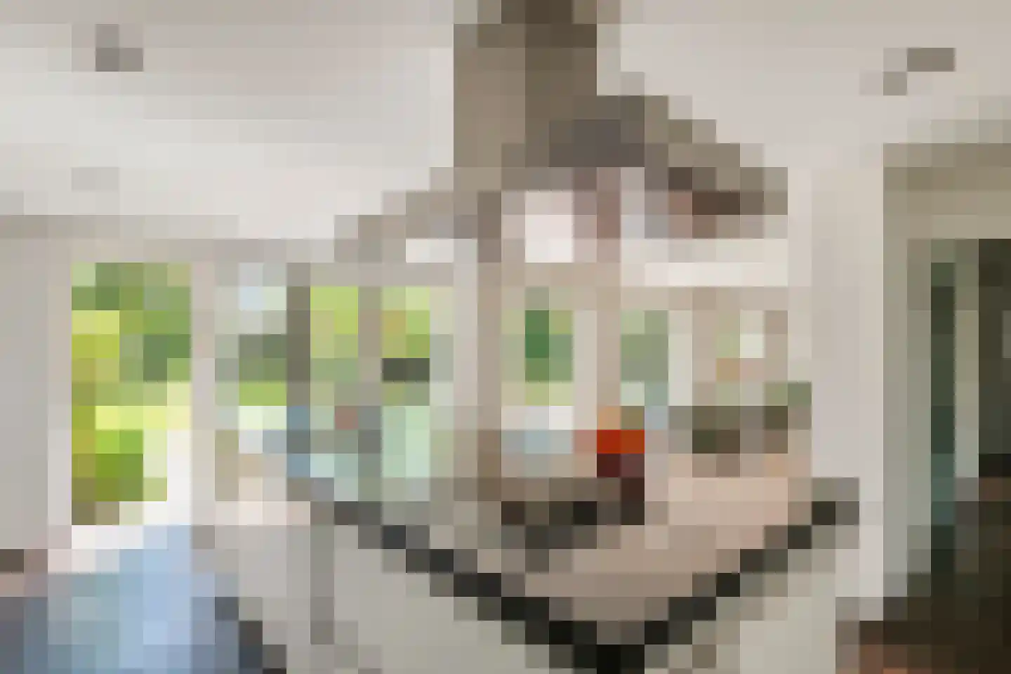 Prinses Marijkelaan 33 Maurik thumbnail 5