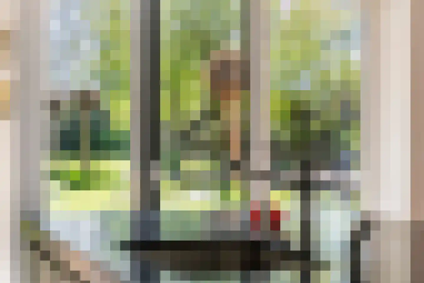 Prinses Marijkelaan 33 Maurik thumbnail 51