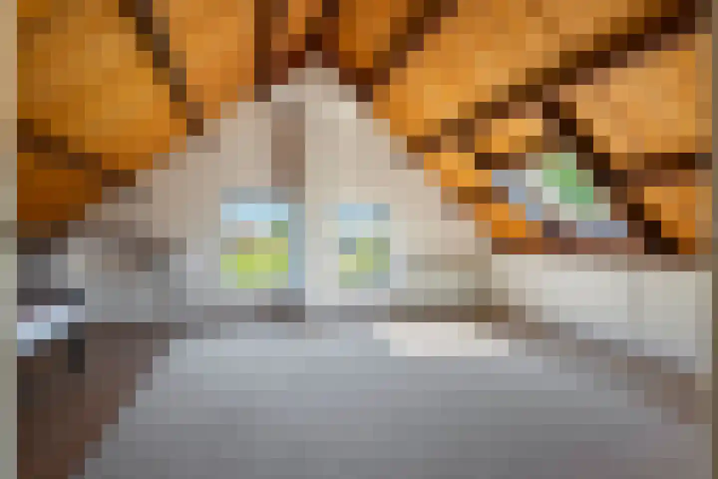 Prinses Marijkelaan 33 Maurik thumbnail 55