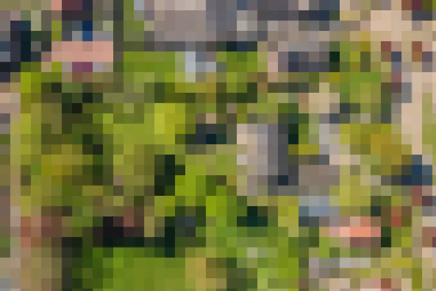 Prinses Marijkelaan 33 Maurik thumbnail 97