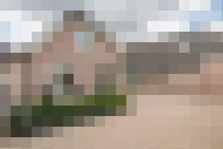 Prinses Marijkelaan 34 Maurik thumbnail 25