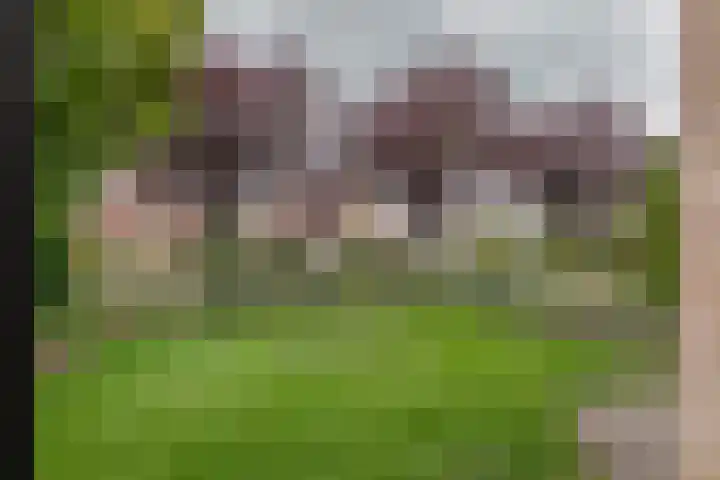 Prinses Marijkelaan 34 Maurik thumbnail 30