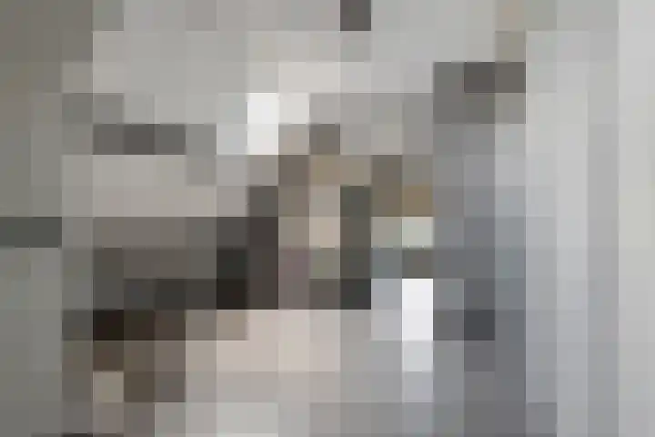 Prinses Marijkelaan 34 Maurik thumbnail 36