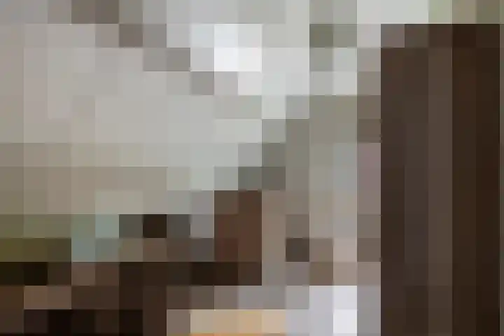 Prinses Marijkelaan 34 Maurik thumbnail 37