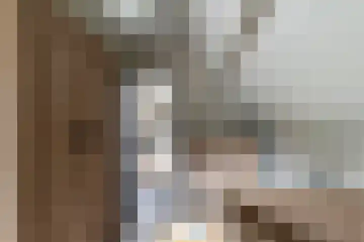 Prinses Marijkelaan 34 Maurik thumbnail 38