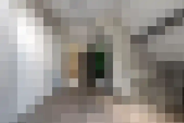 Prinses Marijkelaan 34 Maurik thumbnail 39