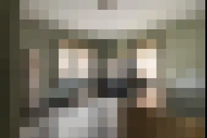 Prinses Marijkelaan 34 Maurik thumbnail 4