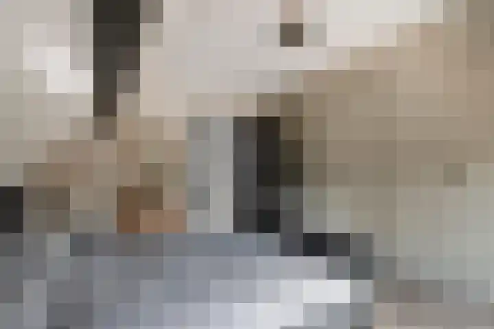 Prinses Marijkelaan 34 Maurik thumbnail 41