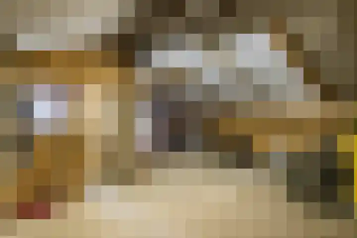 Prinses Marijkelaan 34 Maurik thumbnail 44