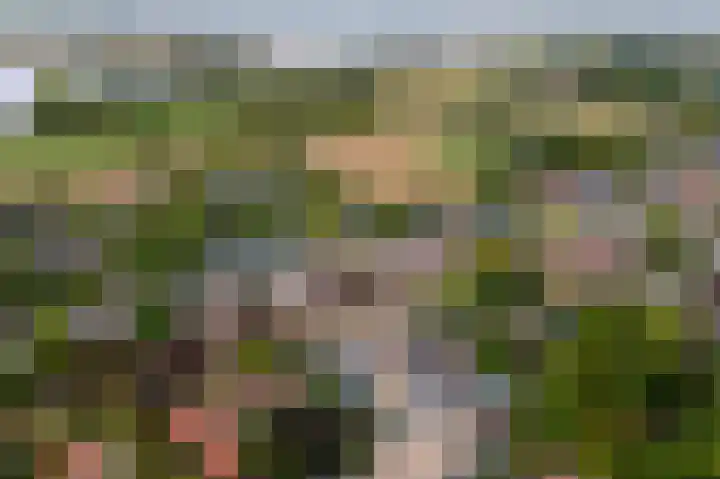 Prinses Marijkelaan 34 Maurik thumbnail 49