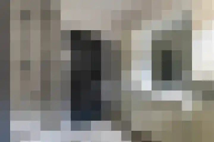 Prinses Marijkelaan 34 Maurik thumbnail 5