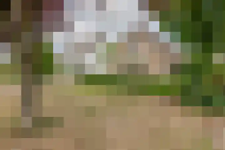 Prinses Marijkelaan 34 Maurik thumbnail 6