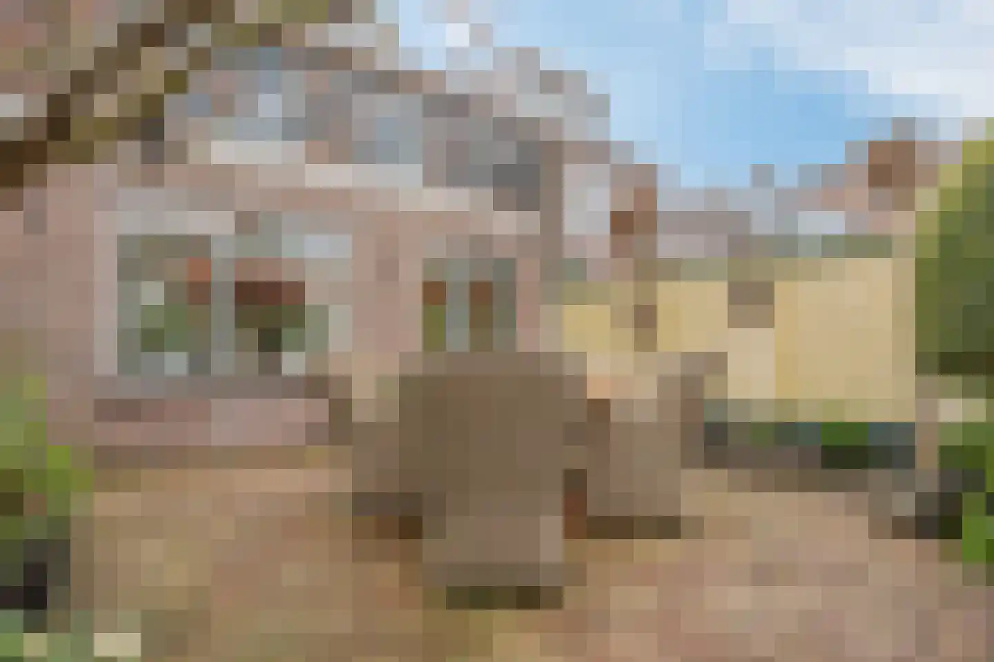 Prinses Marijkelaan 4 Katwijk thumbnail 28