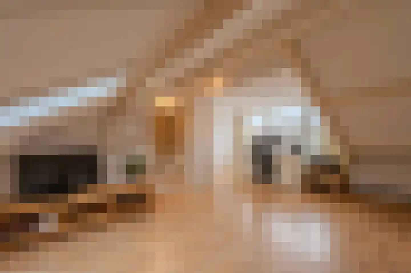 Prinses Marijkelaan 4 Katwijk thumbnail 49