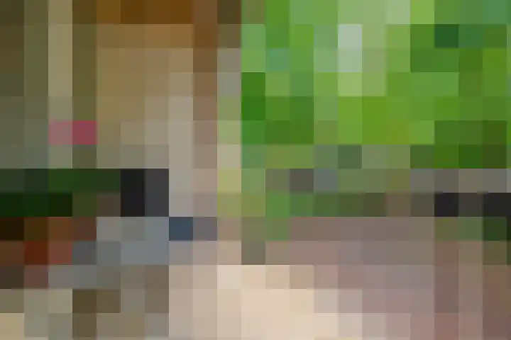 Prinses Marijkelaan 40 Zeist thumbnail 14