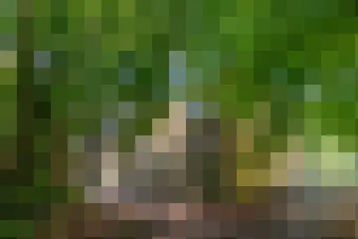 Prinses Marijkelaan 40 Zeist thumbnail 22