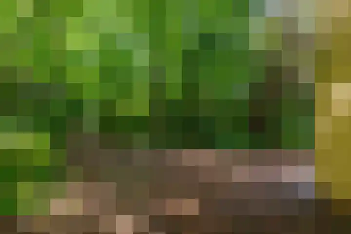 Prinses Marijkelaan 40 Zeist thumbnail 23