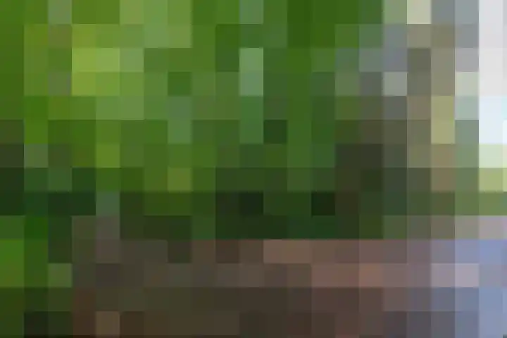 Prinses Marijkelaan 40 Zeist thumbnail 24