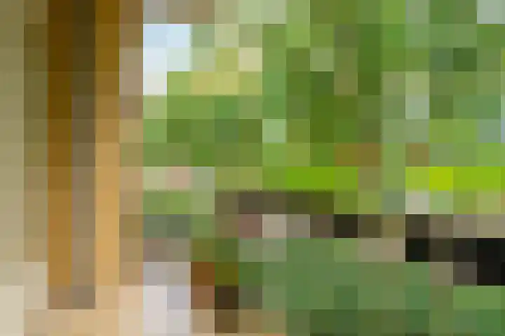 Prinses Marijkelaan 40 Zeist thumbnail 6