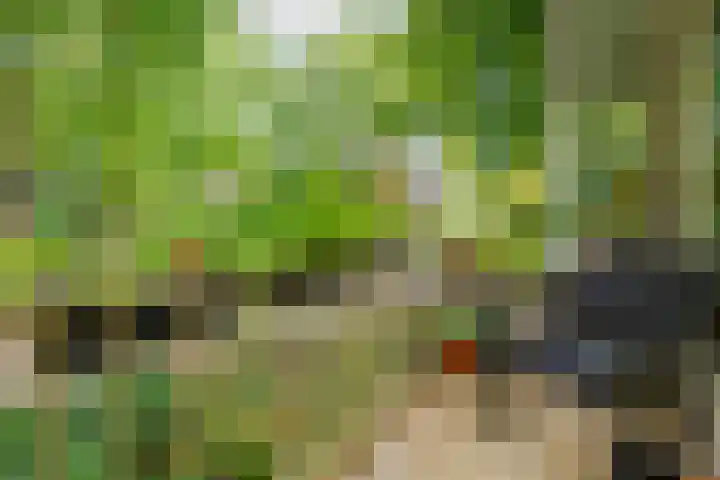 Prinses Marijkelaan 40 Zeist thumbnail 7