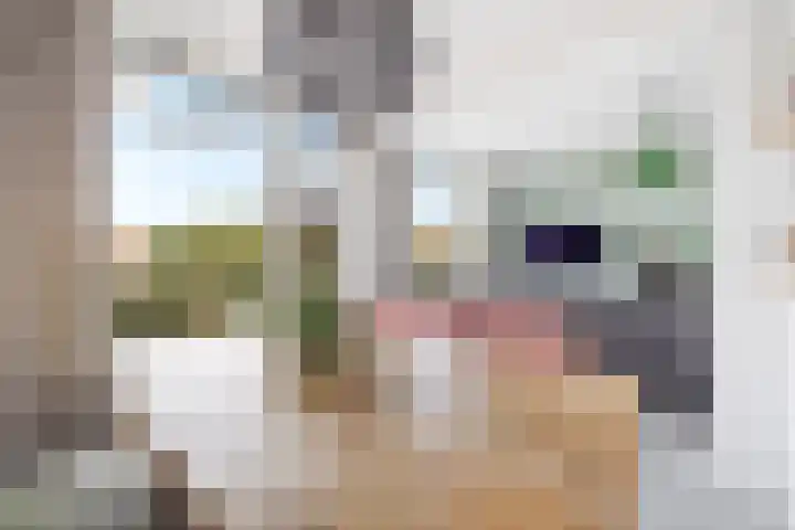 Prinses Marijkelaan 41 Leidschendam thumbnail 10
