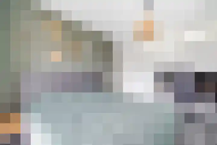 Prinses Marijkelaan 41 Leidschendam thumbnail 15