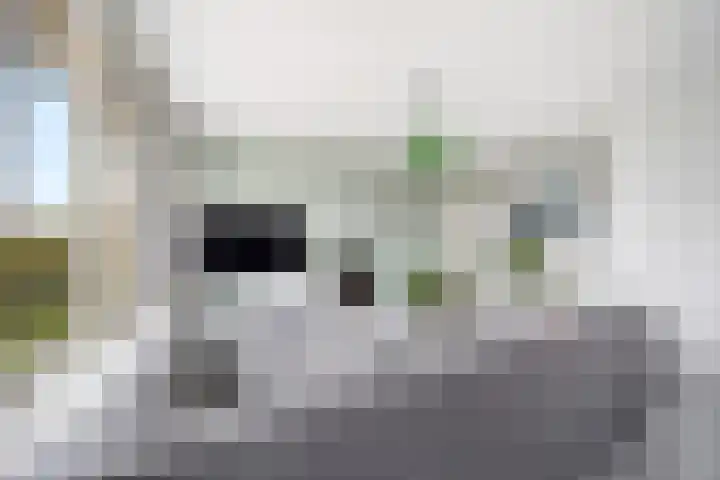 Prinses Marijkelaan 41 Leidschendam thumbnail 7