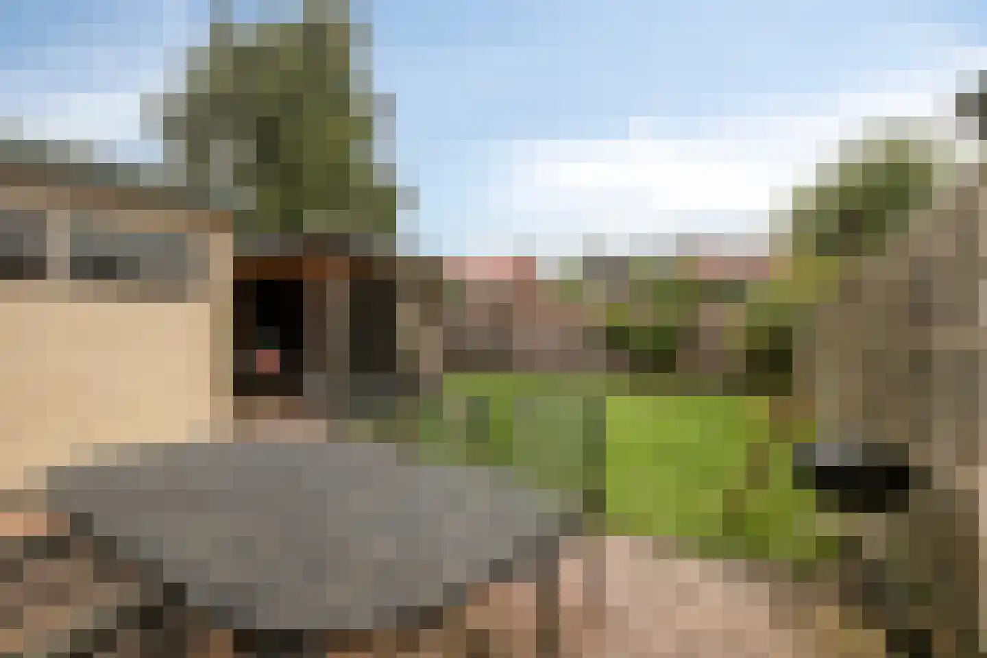 Prinses Marijkelaan 44 Scherpenzeel thumbnail 24