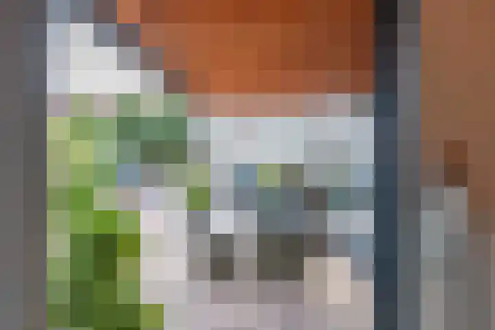 Prinses Marijkelaan 59 Maurik thumbnail 39