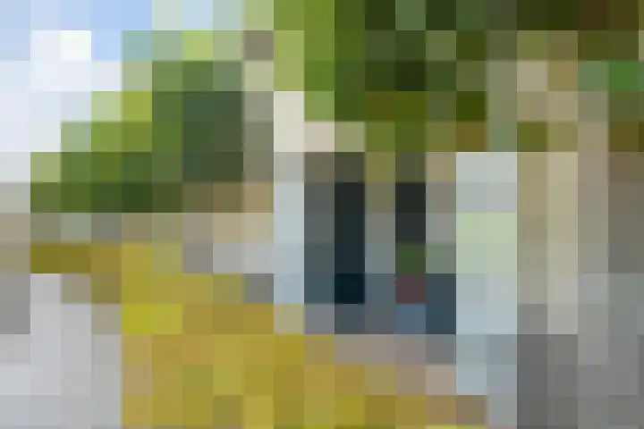 Prinses Marijkelaan 59 Maurik thumbnail 5