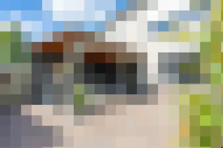 Prinses Marijkelaan 59 Maurik thumbnail 55