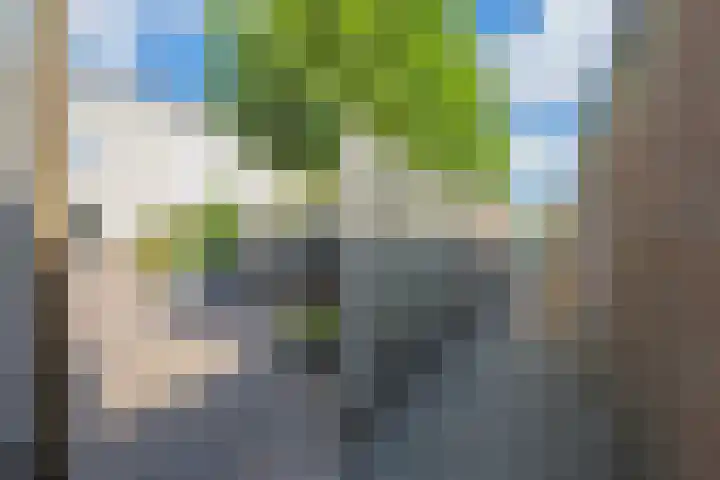 Prinses Marijkelaan 59 Maurik thumbnail 56