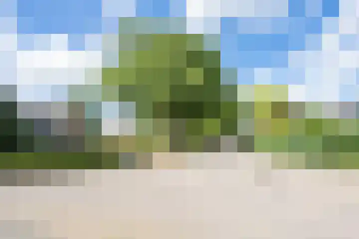 Prinses Marijkelaan 59 Maurik thumbnail 59