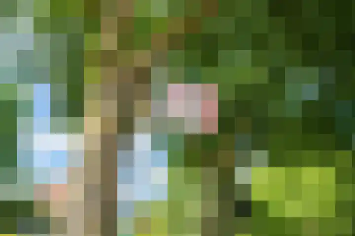 Prinses Marijkelaan 59 Maurik thumbnail 61