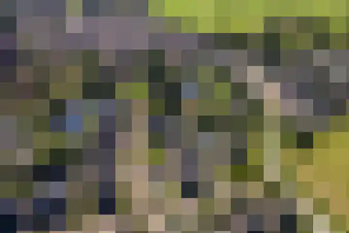 Prinses Marijkelaan 59 Maurik thumbnail 62