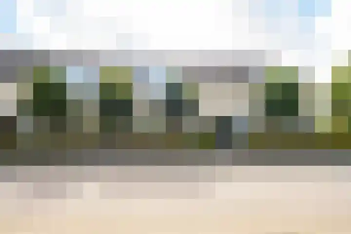 Prinses Marijkelaan 59 Maurik thumbnail 69