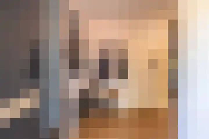 Prinses Marijkelaan 59 Maurik thumbnail 7