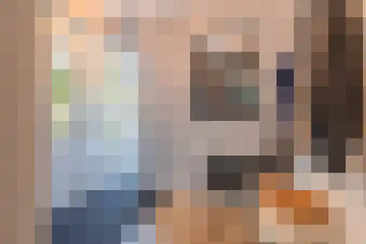 Prinses Marijkelaan 59 Maurik thumbnail 9