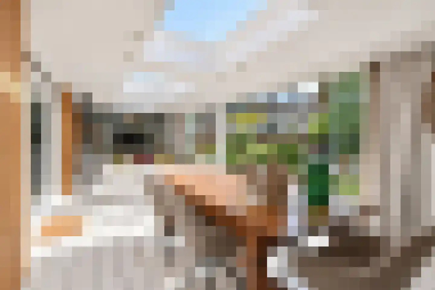 Prinses Marijkelaan 6 Leidschendam thumbnail 25