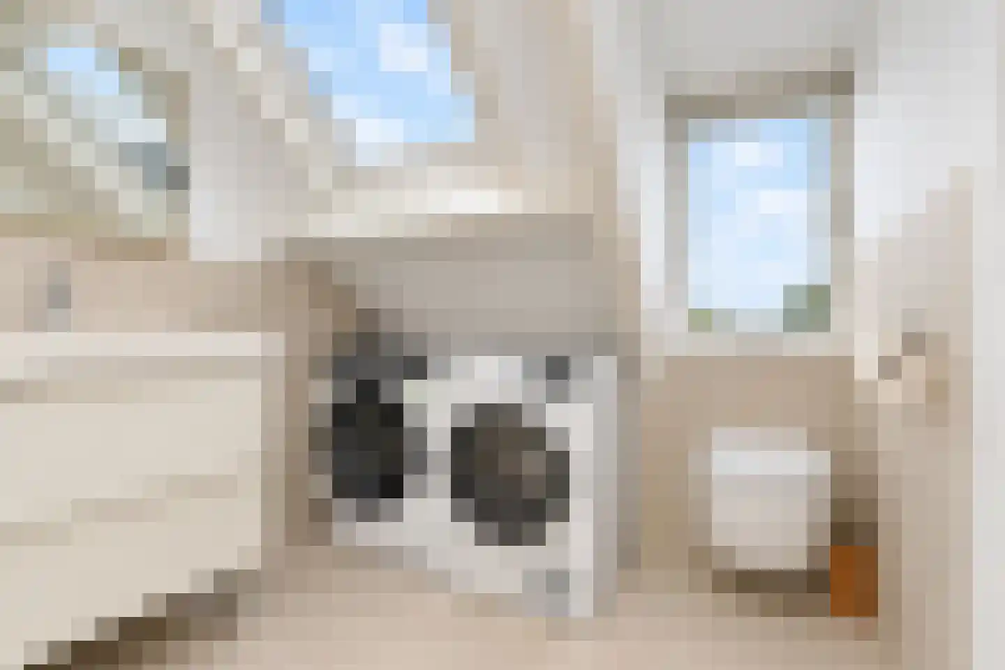 Prinses Marijkelaan 6 Leidschendam thumbnail 61