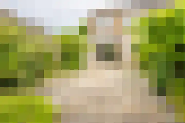 Prinses Marijkelaan 69 Maartensdijk thumbnail 25