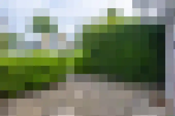 Prinses Marijkelaan 69 Maartensdijk thumbnail 26