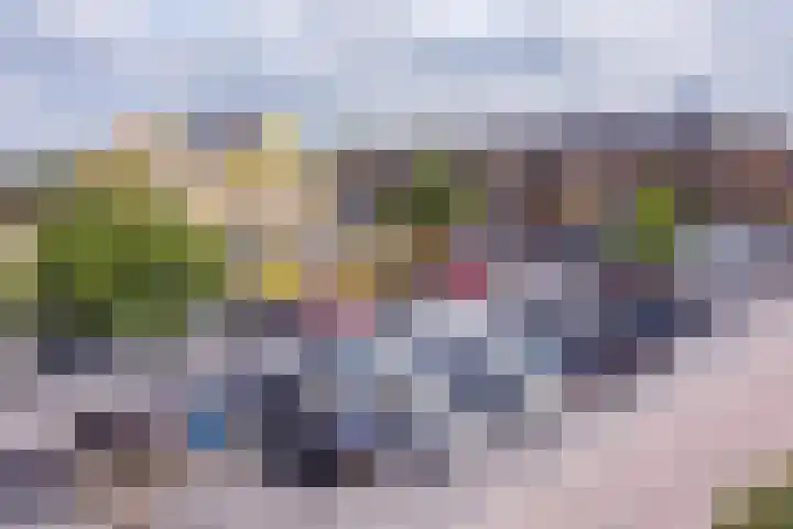 Prinses Marijkelaan 69 Maartensdijk thumbnail 29