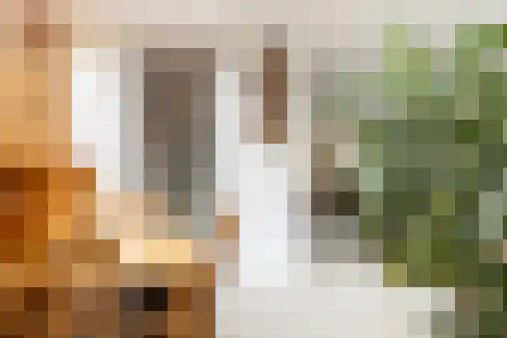 Prinses Marijkelaan 7 Maartensdijk thumbnail 11