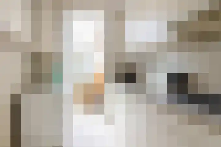 Prinses Marijkelaan 7 Maartensdijk thumbnail 13