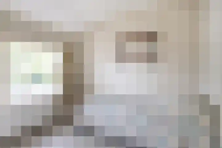 Prinses Marijkelaan 7 Maartensdijk thumbnail 19